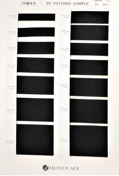 0010 Herringbone Weave Polypropylene Webbing