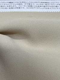 41248 ECOPET®︎×Ratchet®︎Back Satin Stretch Georgette[Textile / Fabric] SUNWELL Sub Photo