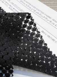 41612 Polyester Geometric Raschel Lace[Textile / Fabric] SUNWELL Sub Photo