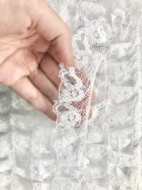 DS.2169-S Lace Lace Gathers Off White 35mm Daisada Sub Photo