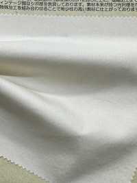 BD6436 High Density 60/1 Satin Omi Bleaching + Salt Shrinkage + Roll CC[Textile / Fabric] COSMO TEXTILE Sub Photo