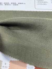 OA21271 60/1・JAPAN LINEN (Ecru)[Textile / Fabric] Oharayaseni Sub Photo