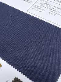 OKM1002 NATURAL DYED TWILL[Textile / Fabric] Oharayaseni Sub Photo