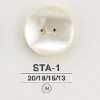 STA1 Shell-made Two-hole Button