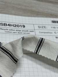 SB4H2019 Recycled Cotton Striped Circular Interlock Knitting Wash[Textile / Fabric] SHIBAYA Sub Photo