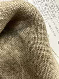 OA141361 Semi-wet No. 8 Linen[Textile / Fabric] Oharayaseni Sub Photo