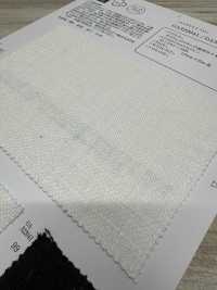 OA322041 Heavy #8 Twill Of Semi-wet Linen[Textile / Fabric] Oharayaseni Sub Photo