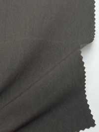 LIG6087-RE C/RECYCLE Ny Hyde Taffeta[Textile / Fabric] Lingo (Kuwamura Textile) Sub Photo