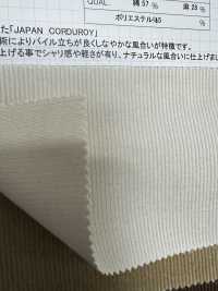 FT1150UN Fancy Corduroy(Set) Delavage [outlet][Textile / Fabric] Kumoi Beauty (Chubu Velveteen Corduroy) Sub Photo
