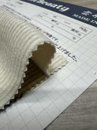 CF7000 9W C/F (Linen) Corduroy[outlet][Textile / Fabric] Kumoi Beauty (Chubu Velveteen Corduroy) Sub Photo