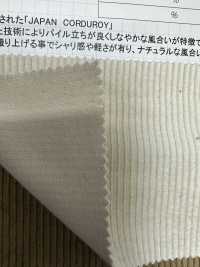 CF7000 9W C/F (Linen) Corduroy[outlet][Textile / Fabric] Kumoi Beauty (Chubu Velveteen Corduroy) Sub Photo