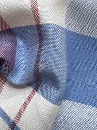 AN-9105 Cotton Oxford Check[Textile / Fabric] ARINOBE Sub Photo