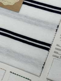 FJ220150 19/- Turkish Organic BD Jersey Horizontal Stripes[Textile / Fabric] Fujisaki Textile Sub Photo