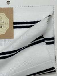 FJ220154 19/- Turkish Organic BD Jersey Horizontal Stripes[Textile / Fabric] Fujisaki Textile Sub Photo