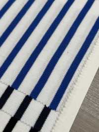 KBF51 Raschel Stripe[Textile / Fabric] Vertex Sub Photo