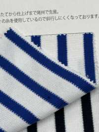 KBF51 Raschel Stripe[Textile / Fabric] Vertex Sub Photo