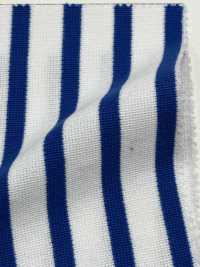 KBF51 Raschel Stripe[Textile / Fabric] Vertex Sub Photo