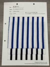 KBF51 Raschel Stripe[Textile / Fabric] Vertex Sub Photo