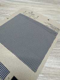 S7305 SOLOTEX® Dry 4WAY Gingham[Textile / Fabric] Fujisaki Textile Sub Photo