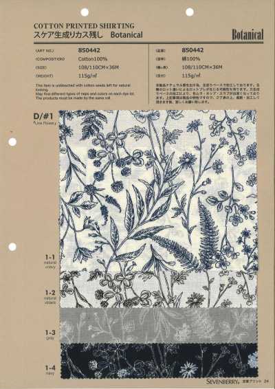 850442 SEVENBERRY® Lawn Natural With Cotton Flecks Botanical Line Flower