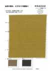 RN4042 Vintage High-Density Twill Microbe