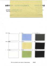 RN5008 Cotton Typewritter Cloth Mayer[Textile / Fabric] KOYAMA Sub Photo