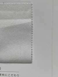 SW5023 Recycled Polyester French Pile[Textile / Fabric] Sanwa Fibers Sub Photo