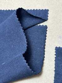 BL1417NT 14/-BD High Density Body Jersey[Textile / Fabric] Vertex Sub Photo