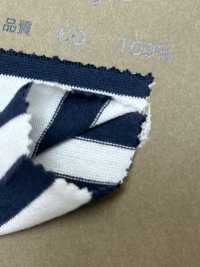 BL2000 40/2 Jersey Horizontal Stripes[Textile / Fabric] Vertex Sub Photo
