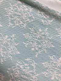 BS70004 Double Raschel Kikamesh[Textile / Fabric] B Space Sub Photo