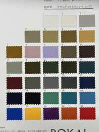 RR8821-CT Classical Taslan Nylon CT[Textile / Fabric] ROKAL Sub Photo