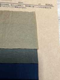 RR8802-SEN Nylon Taffeta Soft Salt Shrink[Textile / Fabric] ROKAL Sub Photo