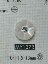 MY137R Polyester Resin Buttons Sub Photo