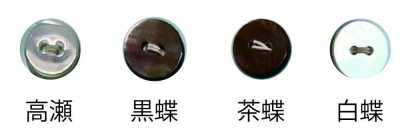 1002H 100 Type 2-Hole Button