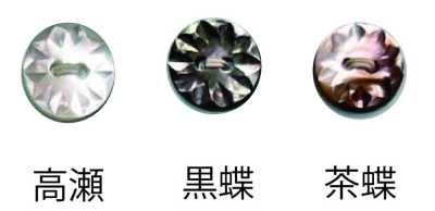 156 2-hole Button, Takase Shell