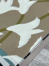 W8084 SEVENBERRY® Oxford Wide Width Lily[Textile / Fabric] VANCET Sub Photo