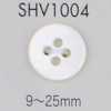 SHV1004 4-hole Shell Button
