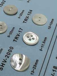 TRV17 4-hole, Bordered Shell Button DAIYA BUTTON Sub Photo