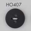 HO407 