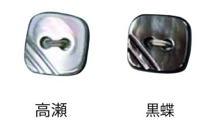 460 Two-hole Rimless Shell Button