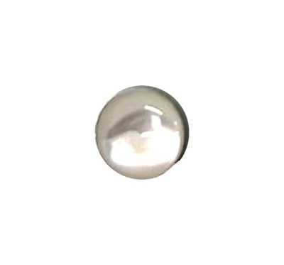 602P Takase Shell Poly Shank Button