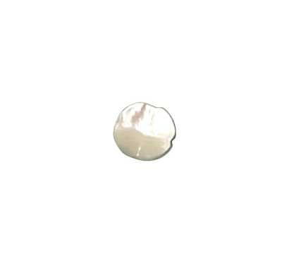 604 Four-Leaf Shell Button Takase Shell
