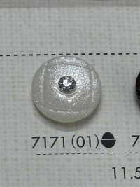 7171 Polyester Resin Buttons DAIYA BUTTON Sub Photo