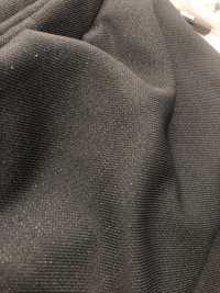 7363-OUTLET Ester Glitter Twill[Textile / Fabric] VANCET Sub Photo