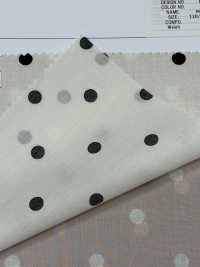 DOT-6000-2 60 Lawn Clear Soft (Medium Dot)[Textile / Fabric] HOKKOH Sub Photo