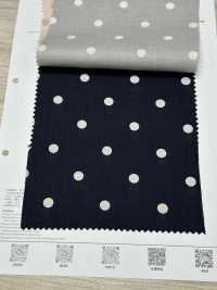 DOT-6000-2 60 Lawn Clear Soft (Medium Dot)[Textile / Fabric] HOKKOH Sub Photo