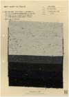 AN-9298 Cotton Wool Color Nep Kersey