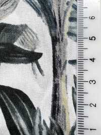 4232 Broadcloth Stylish Relax BOTANICAL[Textile / Fabric] VANCET Sub Photo