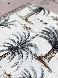 4233 Broadcloth Stylish Relax COCONUT TREE[Textile / Fabric] VANCET Sub Photo