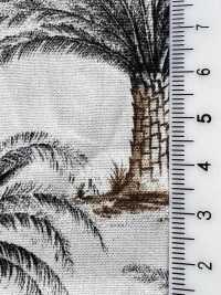 4233 Broadcloth Stylish Relax COCONUT TREE[Textile / Fabric] VANCET Sub Photo